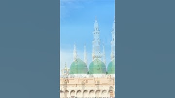 Syed Hassan Ullah Hussani || Main Banda e AasiHoon || Shab e Barat Special || Safa Islamic | #shorts