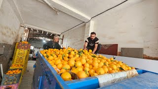After the trip, Hojjat returned home to Farzaneh and her daughter.