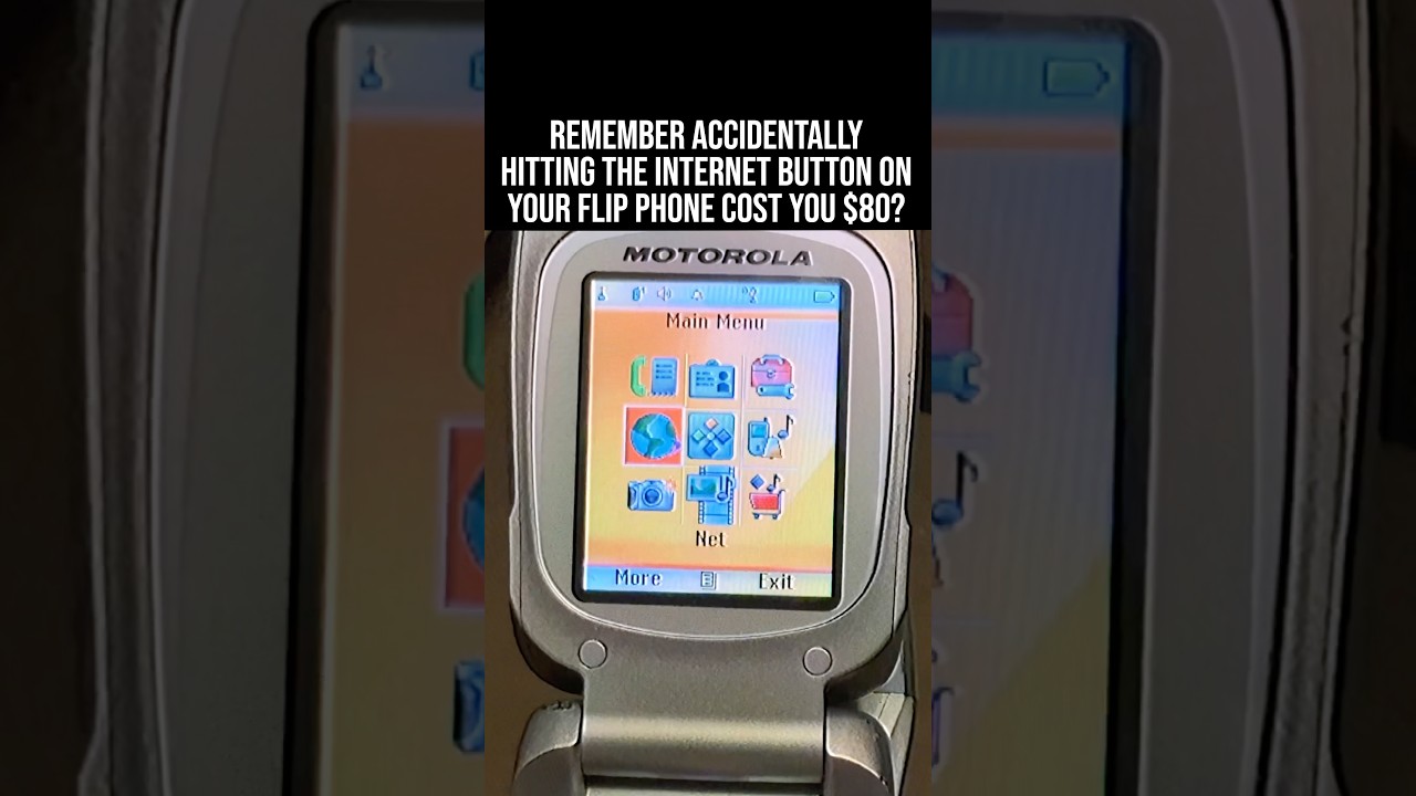 Remember accidentally hitting the internet button on your flip phone and it cost you $80?