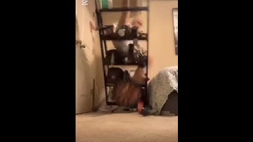 #comedy #viral #trending #shortvideo #funny #funnyvideo #funnyshorts