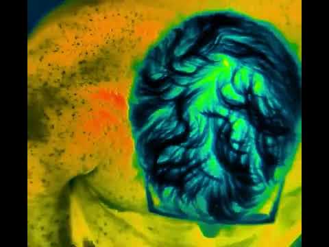 باستخدام كاميرا التصوير الحراري العسكرية يوضح كيف يفقد جسم الإنسان الحرارة عند تعرضه للبرودة الشديدة