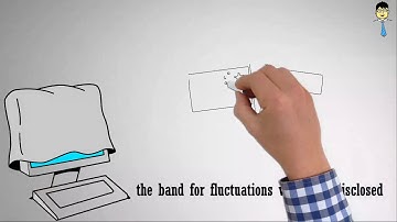 Video 23 Managed Float Exchange Rate System