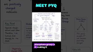 NEET PYQ 2025#biosimplified#neet#neet2026#neetpyq#neetbiology#histones#ncert#chromatin#biologymcq