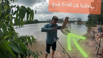 #caucatrensong // CÂU CÁ MÈ  VINH ở CỐNG 10 CỬA với BÀI MÒI CÂU SÔNG CỰC KÌ HIỆU QUẢ !!