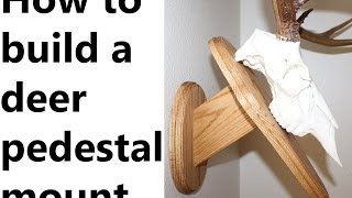 Watch us Build a Deer Wall Pedestal Mount