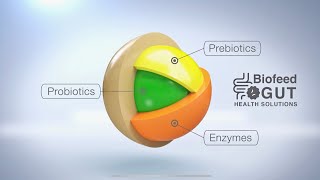Biofeed Technology - Gut Health And Performance Solutions