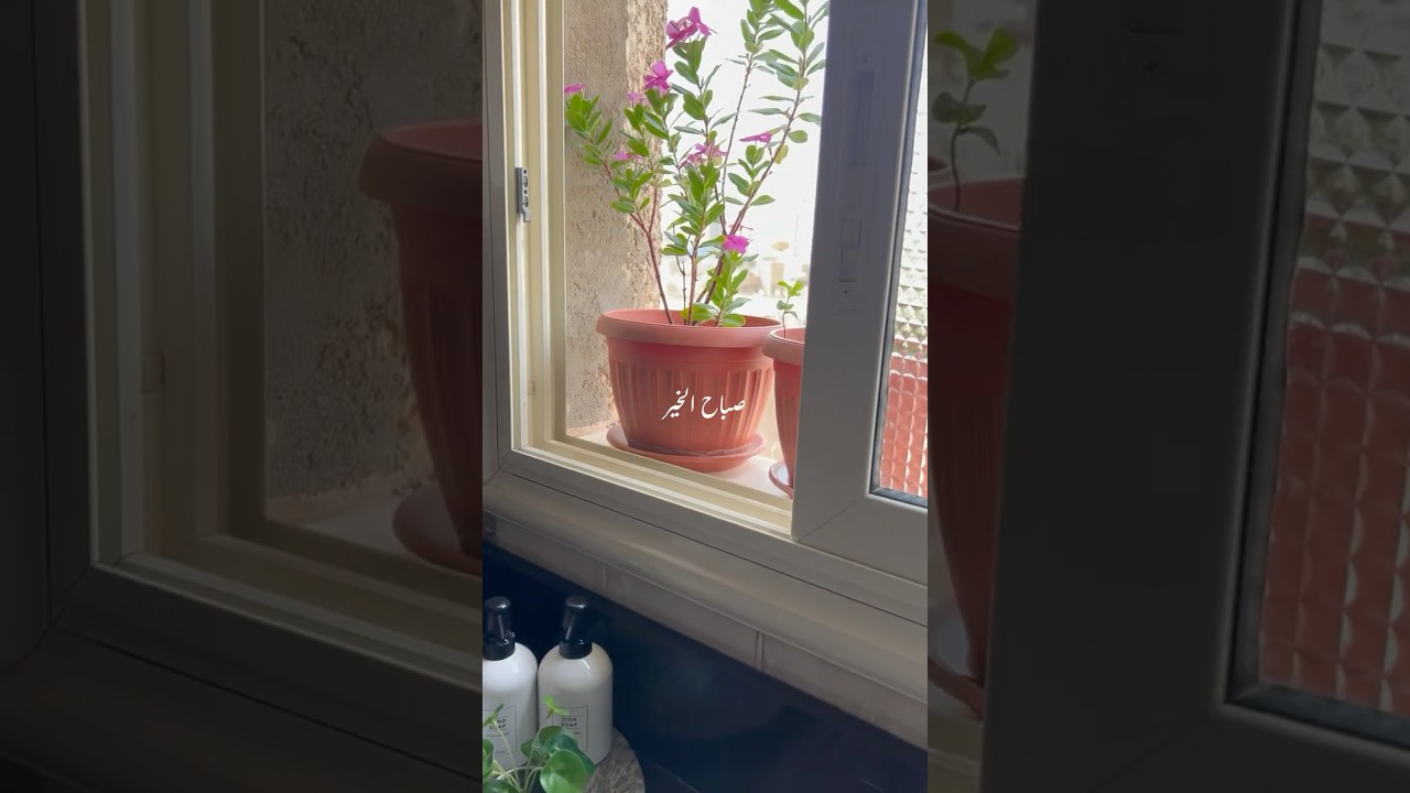 اول فيديو بفطار صحي ولذيذ 🥰😋