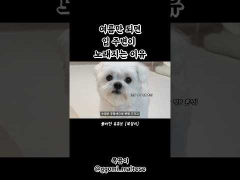 여름만 되면 입 주변이 노래지는 이유 thumbnail