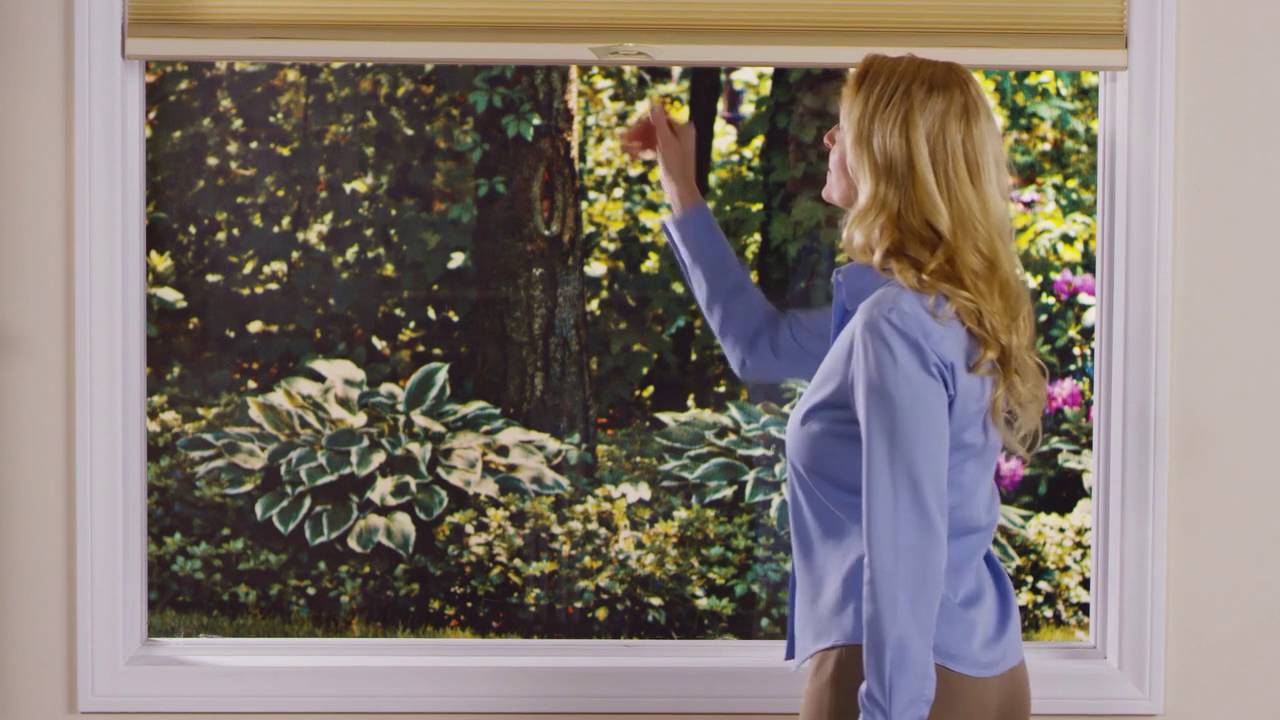 Cordless Lift & Lock: Honeycomb Shades, Top-Down / Bottom-Up Option hunter douglas bim