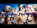 Pupstars: The Rivals