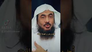 أبو دجانة رضي الله عنه عندما وافته المنية. الشيخ عبد الرحمن الباهلي.