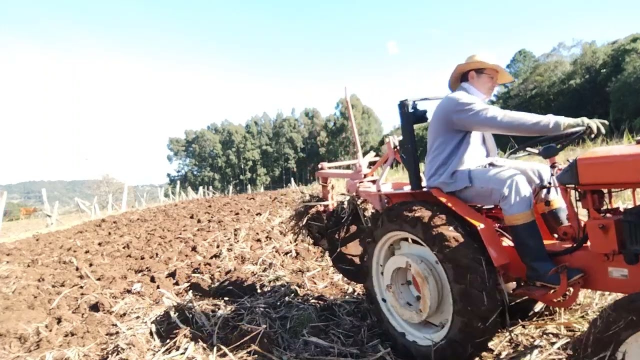 Arando canavial com Agrale 4100