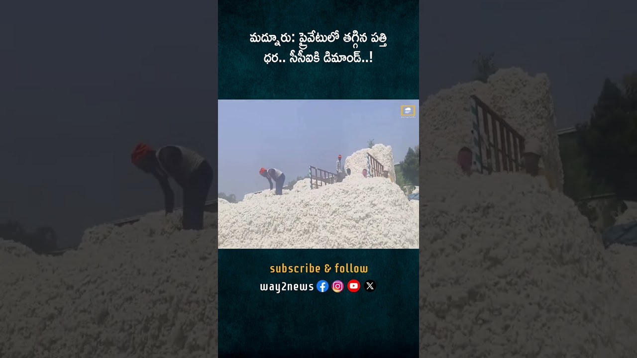 మద్నూర్ మండలంలో పత్తి కొనుగోలు | CCI సెంటర్ వేగంగా సాగుతోంది | Nizamabad | Telangana | Way2news T..