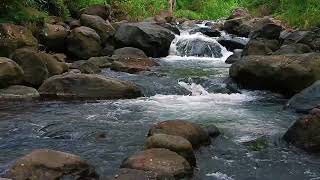 Soft River Sounds, Nice to hear, Nourish the Nerves and Mind So Happy, River Water Therapy screenshot 5