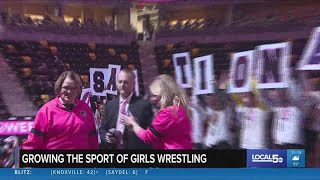 DMPS to allow high school girls wrestling