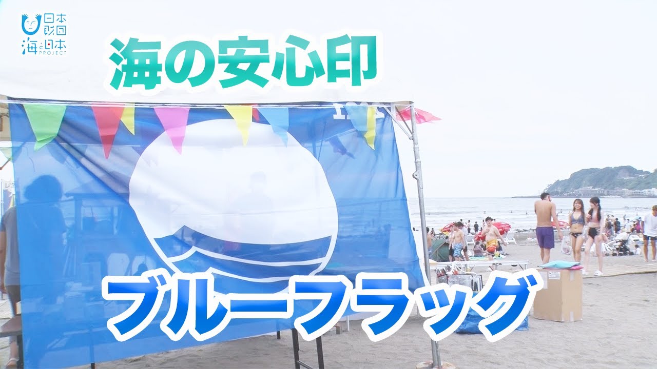 海の安心印ブルーフラッグ 6年連続取得の由比ガ浜海水浴場 日本財団 海
