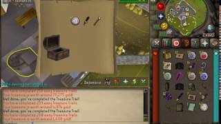 Famous Zenyte - loot from 100 easy caskets Profile
