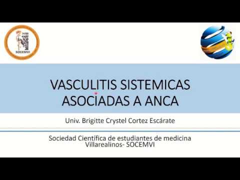 Vídeo: Enfoques In Vivo Para Investigar La Vasculitis Asociada A ANCA: Lecciones Y Limitaciones