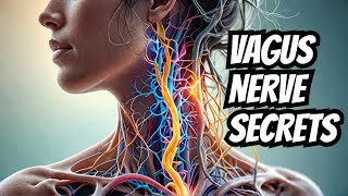 Soothing the Vagus Nerve - A Complete Guide