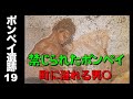 【ポンペイ遺跡19】欲望渦巻く古代都市　賭け事💰と情事💕