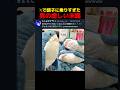 いいね稼ぎで破滅した男の末路