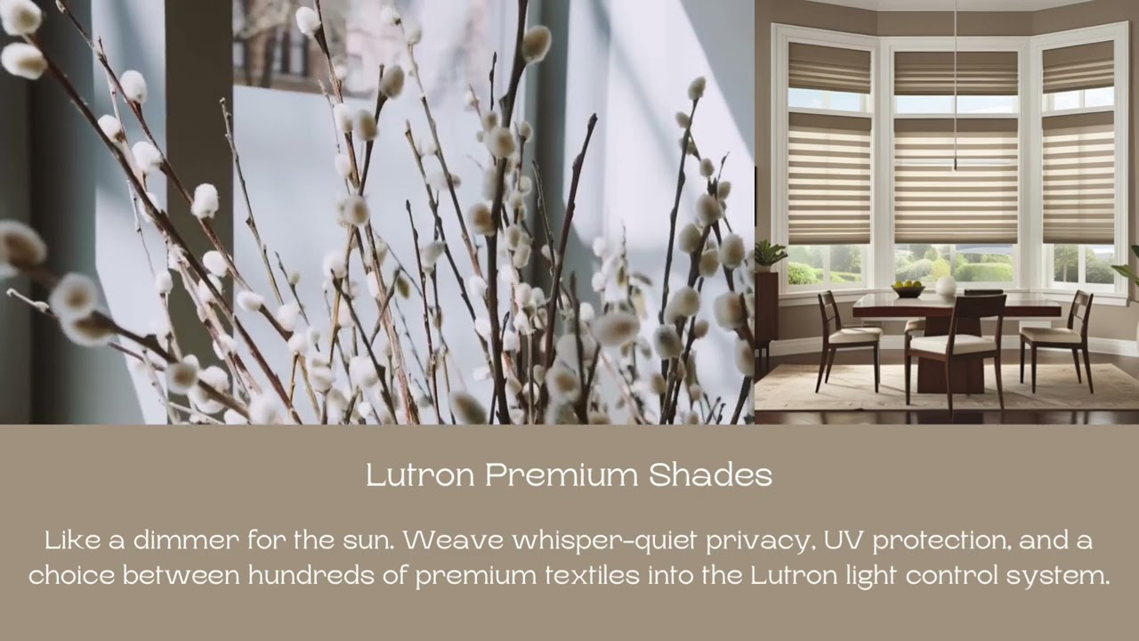 Lutron Palladium Shades