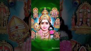 Muruga Muruga Vetri Vela Marughan Ka Haro Hara In Shorts Swamy Blessings To All