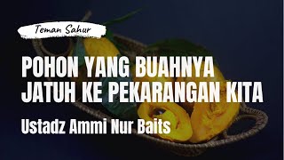Pohon yang Buahnya Jatuh Ke Pekarangan Kita | Teman Sahur | Ustadz Ammi Nur Baits, ST., BA.