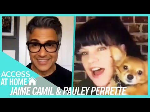 Must See Pauley Perrette Net Worth Journal - xr0ur6j
