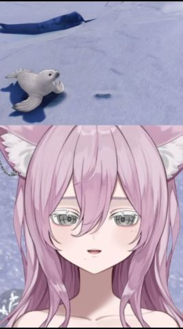 あざらしを〇して大号泣😭 #鳴潮 #wutheringwaves #切り抜き #vtuber #shorts