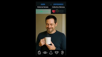 What ‘User Experience’ Actually Means — In Simple Visuals