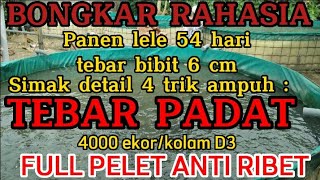 HOW TO CULTIVATE CATFISH BY STOCKING DENSELY FOR A QUICK HARVEST