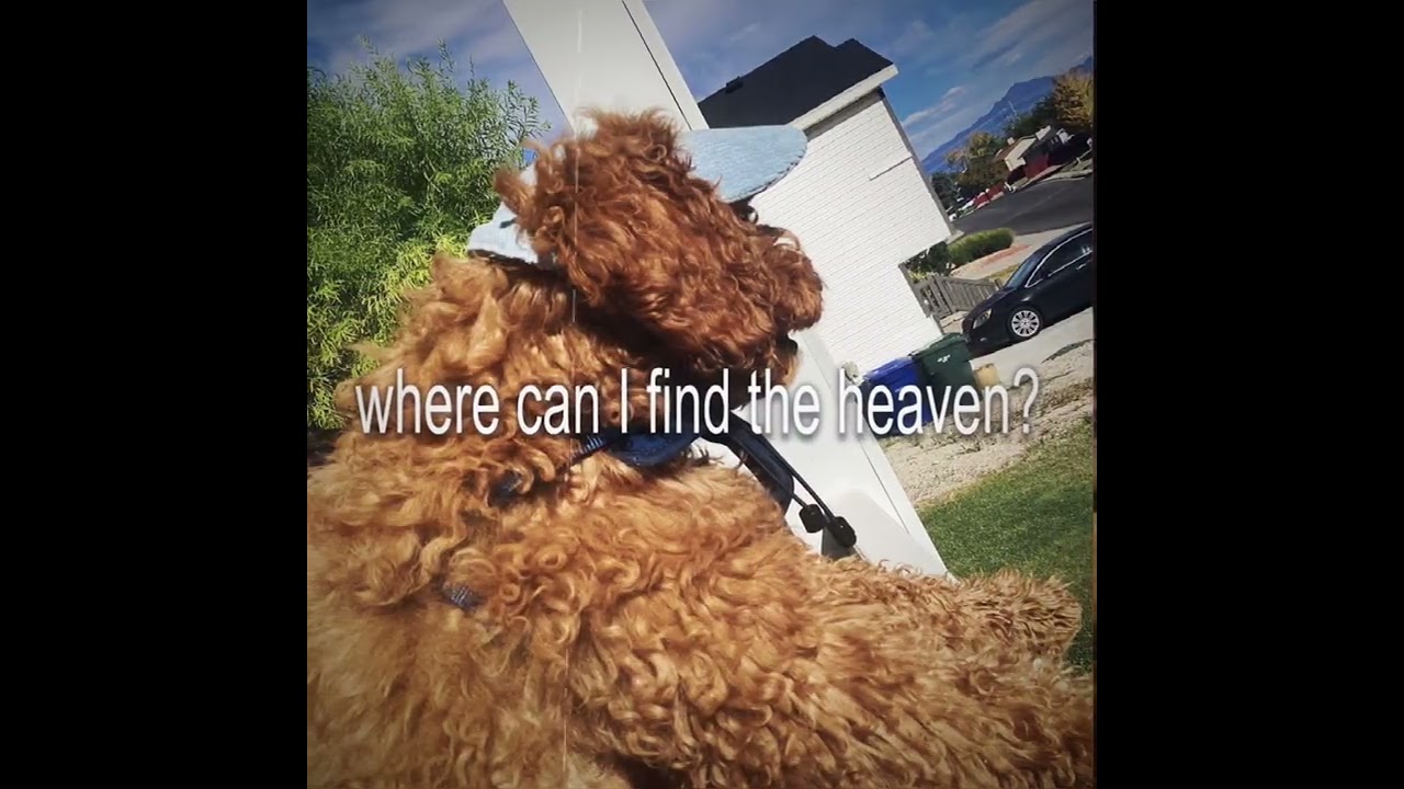 Greg and the I don’t know 