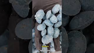 Storm Cebo Para Ratas Y Ratones 10Kg Cubeta