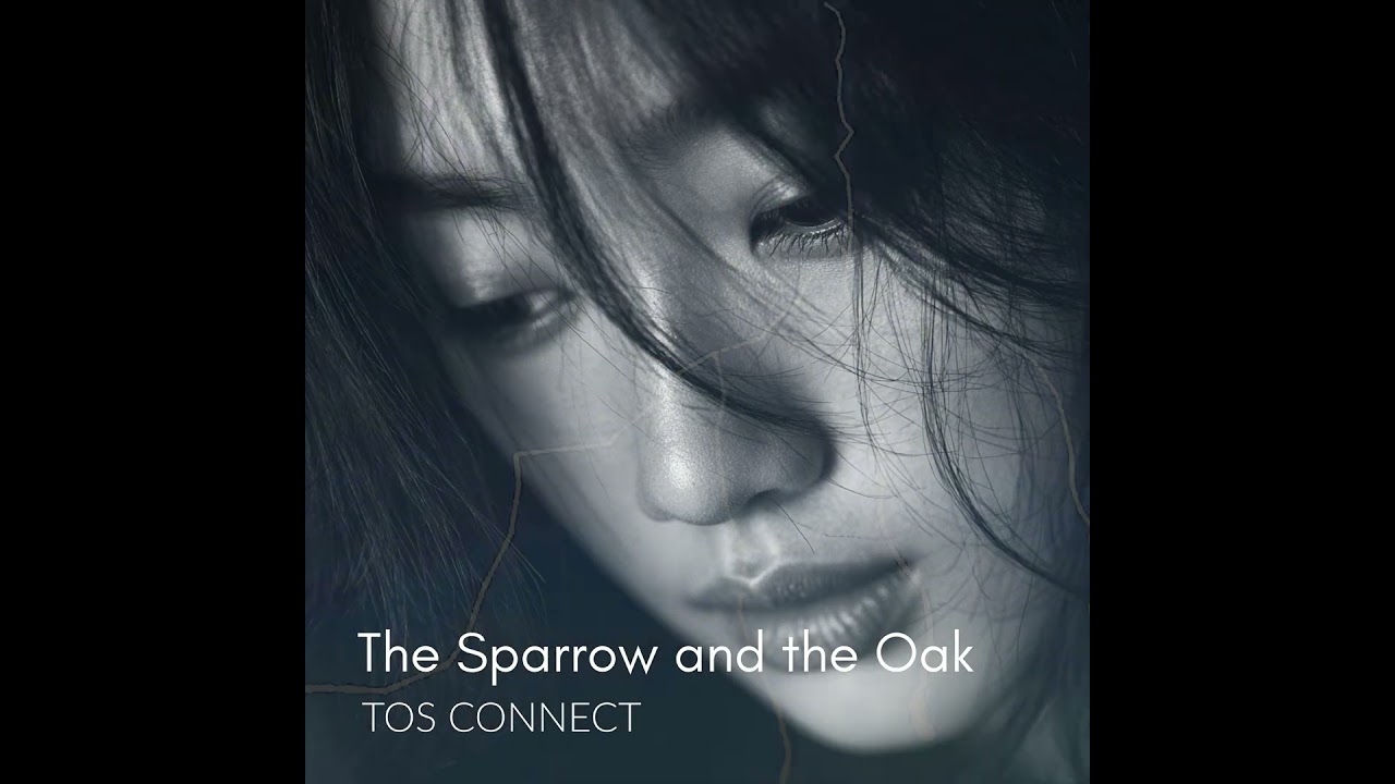 The Sparrow and the Oak (A Gentle Acoustic Lullaby for Deep Sleep)