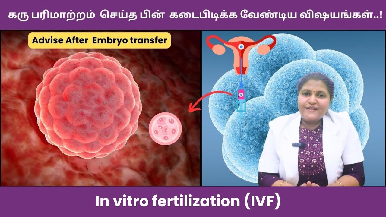 கரு பரிமாற்றத்திற்கு பின் கடைபிடிக்க வேண்டிய விஷயங்கள்..!  | Advise after Embryo Transfer