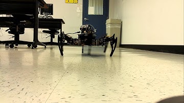 Hexapod Walking Test