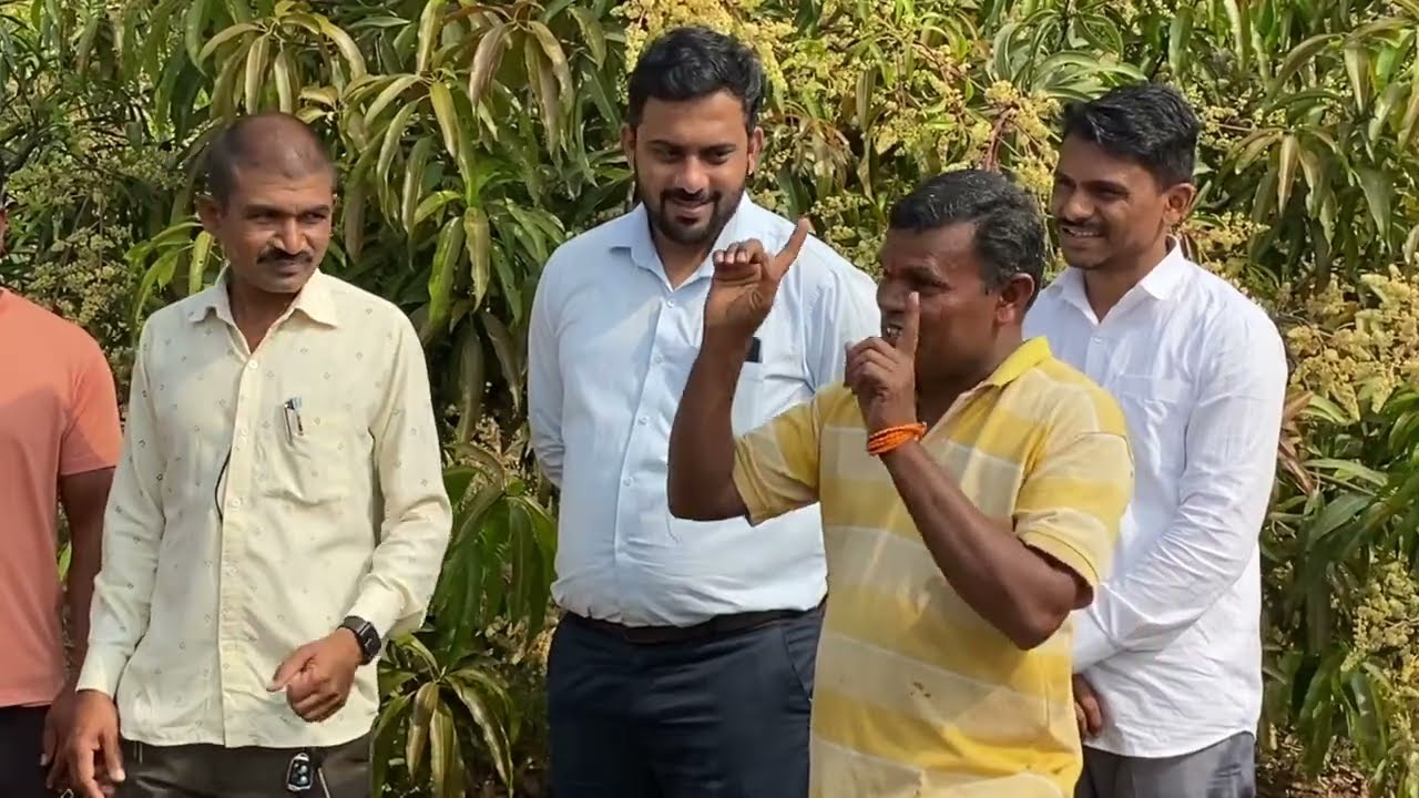 द्राक्षाने🍇आत्महत्येची वेळ आणली अन SCTवैदीक🥭आंब्याने 15 लाखांचे कर्ज फेडलं‼️वादळात बाग सुरक्षीत‼️