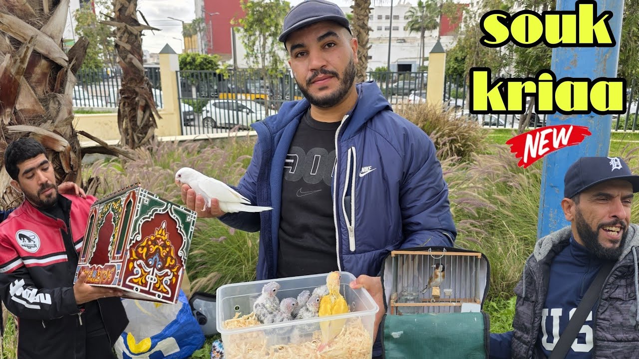 سوق القريعة🔥أجيو نتولعو ونتعرفو على أتمنة مختلف أنواع الطيور المغردة والزينة فرجة ممتعة على قناتكم..