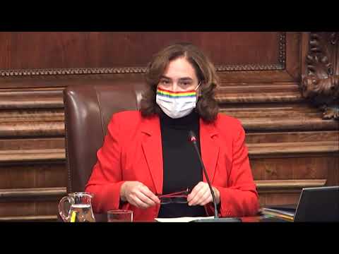 Consell Plenari Municipal
