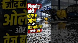 "Pillukheda Mandi Jind mein Ole aur Tez Barish 😱"