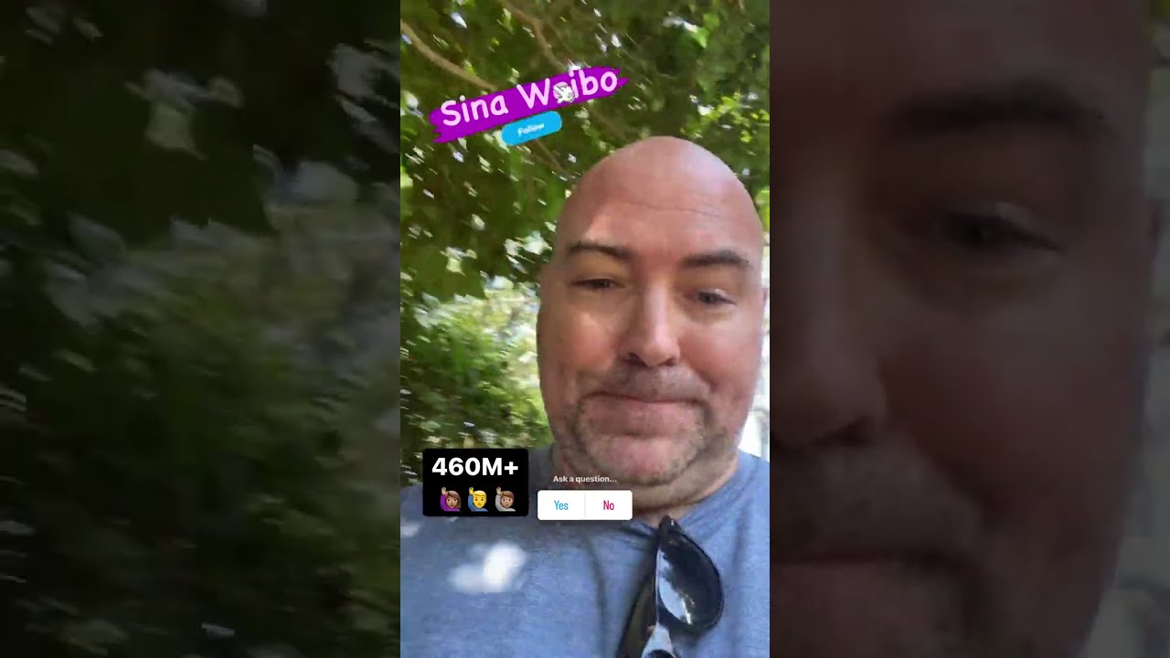 Sina Weibo Social Media For Real Estate NYLoanGuy