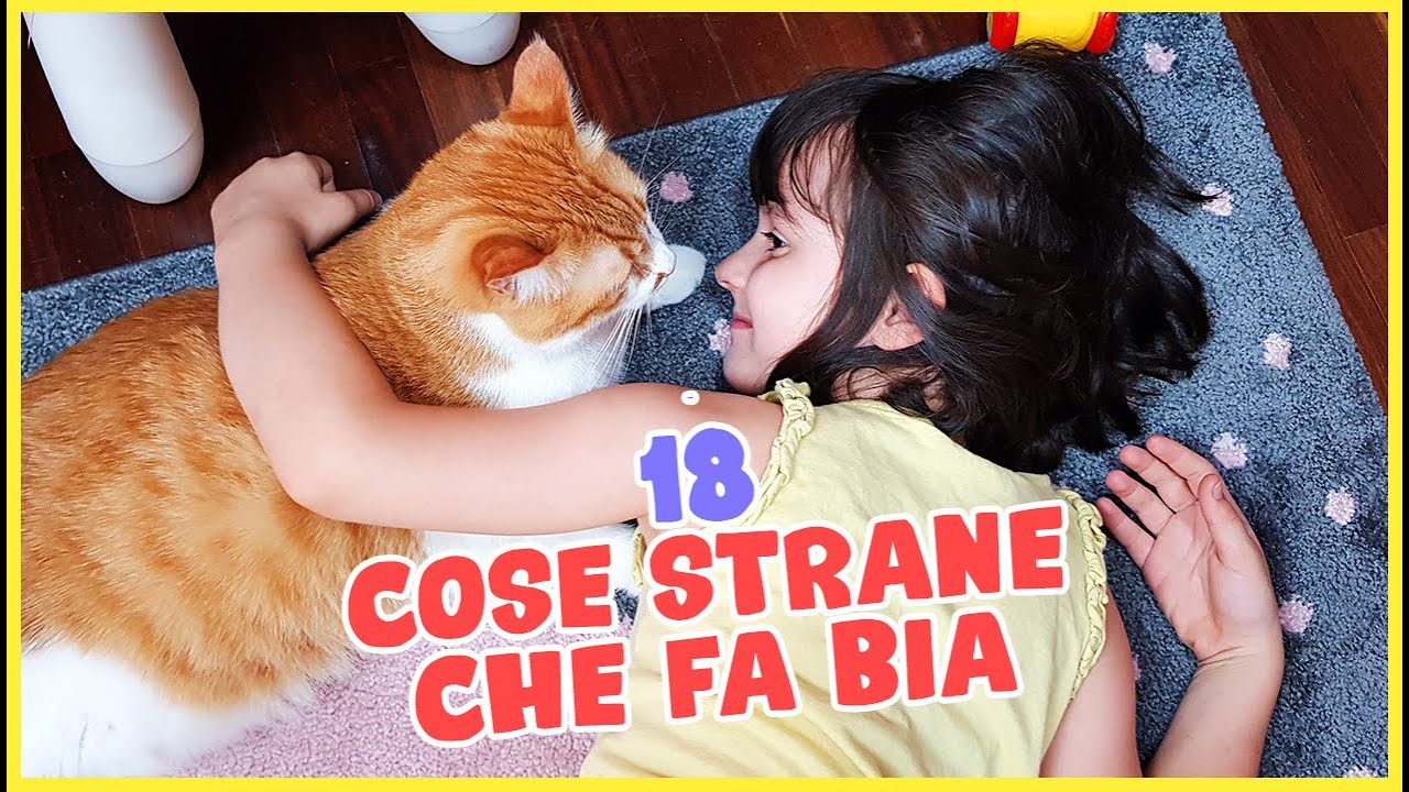 18 Cose strane della nostra gatta Bia!