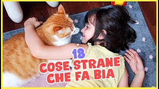 18 Cose strane della nostra gatta Bia!