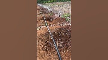 Hệ thống tưới cho cây cà phê , dử dụng ống chính HDPE, ống nhánh LDPE, mỗi cây 1 béc g5