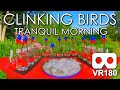 Clinking Birds Tranquil Morning: An ASMR Virtual Reality Experience