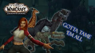 A List of Shadowlands Hunter Pet Looks