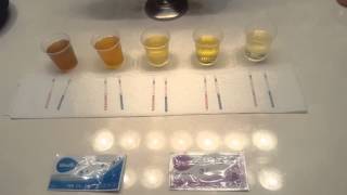 Wondfo Home Pregnancy Tests and Ovulation Tests