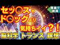 【脳科学と瞑想】トランス状態と『天才の脳波』ガンマ波【自己洗脳】