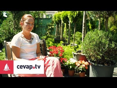 Mavi Ladinin Bakımı Nasıl Yapılır?